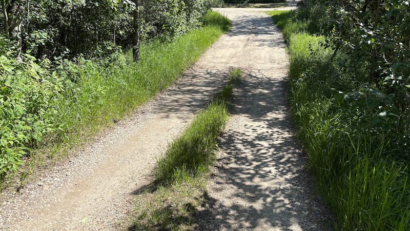 Driveway before grading